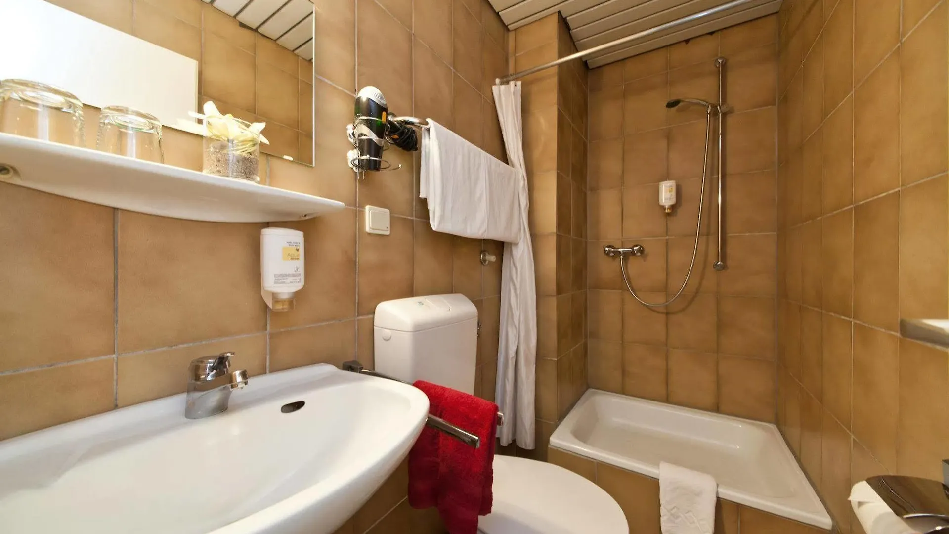 Hotel Ahl Meerkatzen Cologne